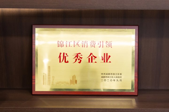 锦江区消费引领优秀企业
