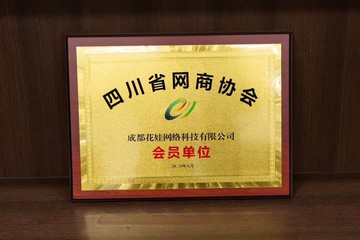 四川省网商协会