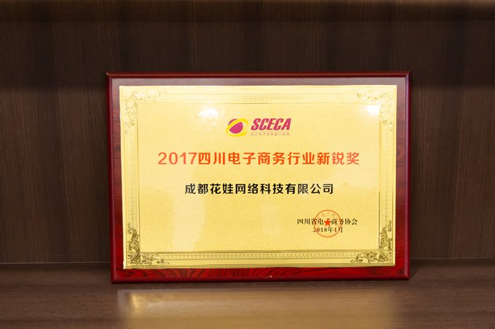 四川电子商务行业新锐奖