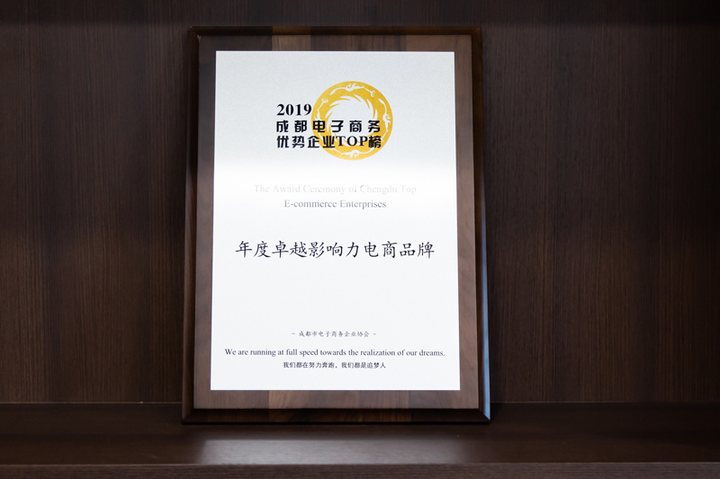 年度卓越影响力电商品牌