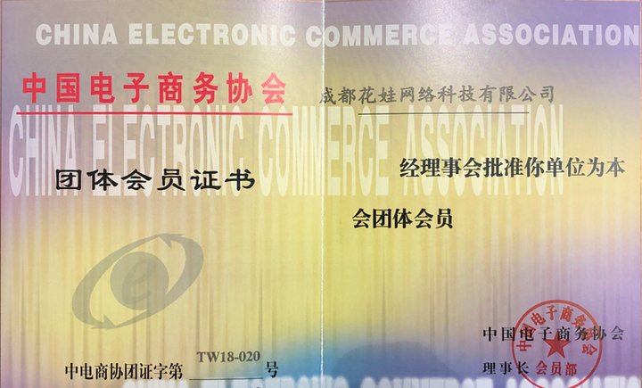 中国电子商务协会团体会员证书